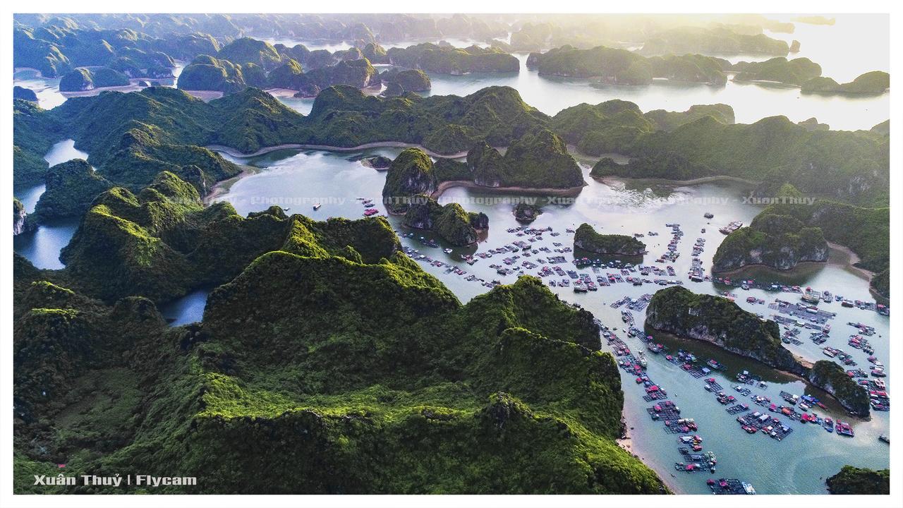 Cat Ba Hostel Cat Ba Island Bagian luar foto